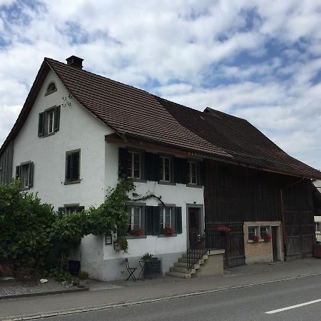 Airport Zuerich Elwiras B & B Lufingen Eksteriør billede