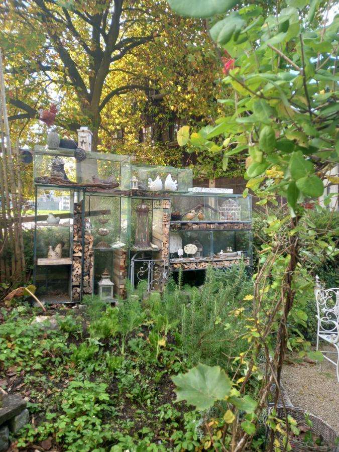 Airport Zuerich Elwiras B & B Lufingen Eksteriør billede