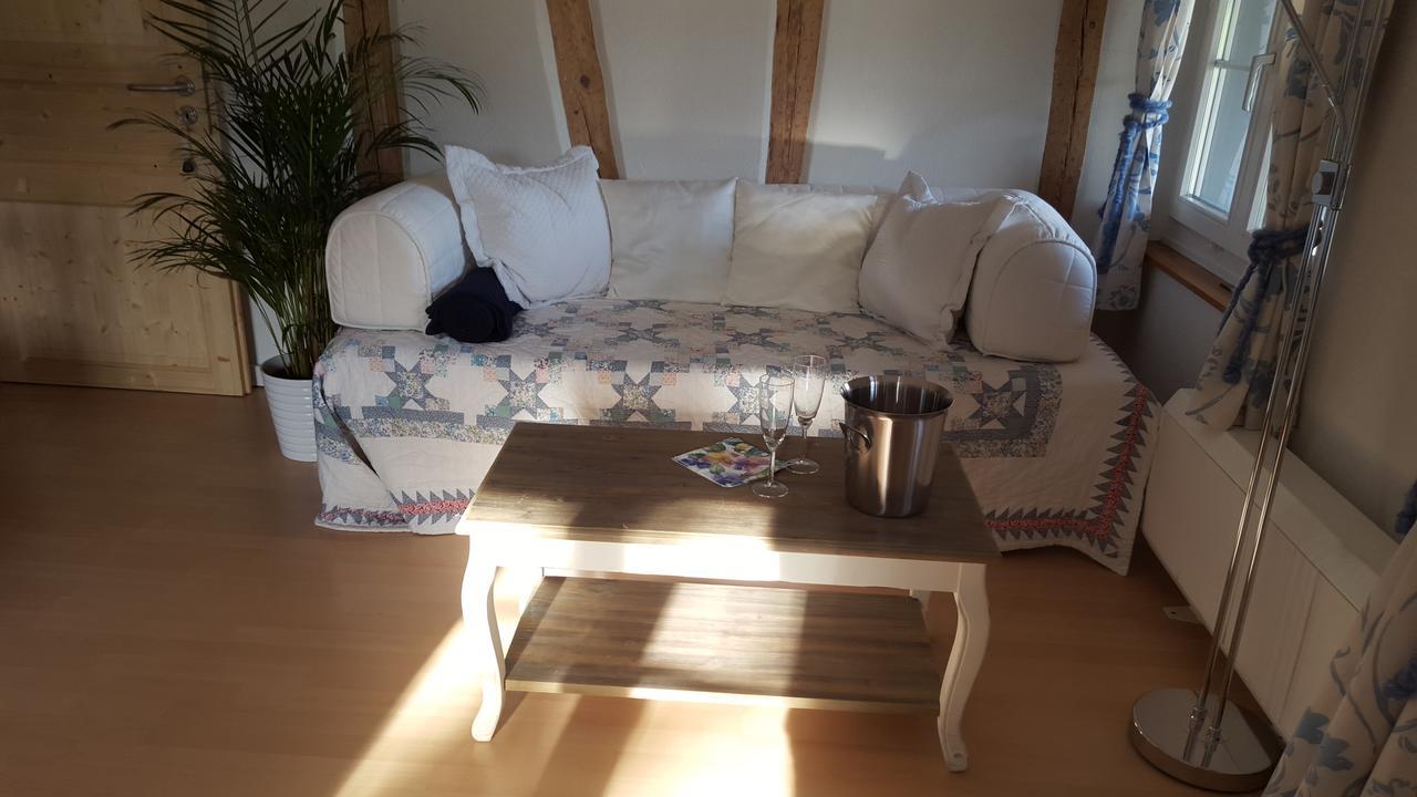 Airport Zuerich Elwiras B & B Lufingen Eksteriør billede
