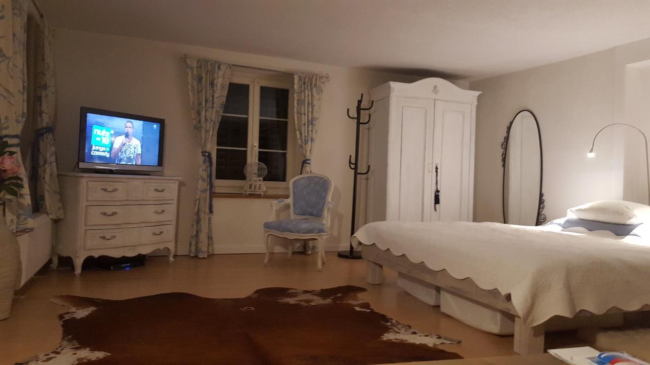 Airport Zuerich Elwiras B & B Lufingen Eksteriør billede