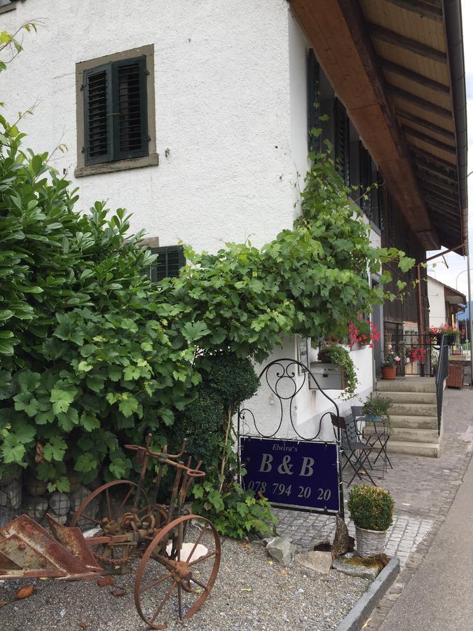 Airport Zuerich Elwiras B & B Lufingen Eksteriør billede
